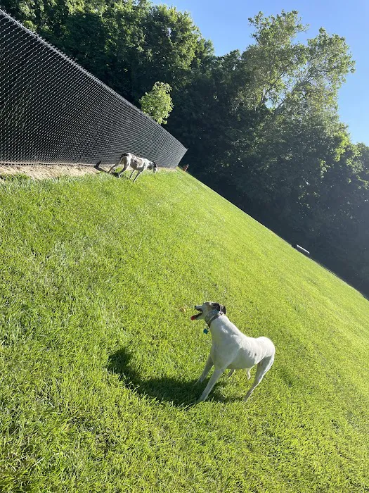 David J Stricker Dog Park 9