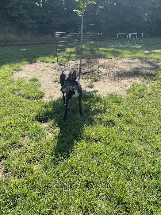 David J Stricker Dog Park 4