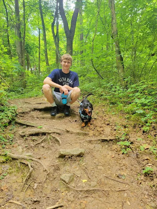David J Stricker Dog Park 6