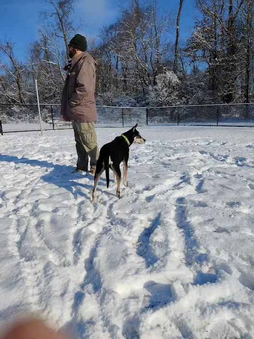 David J Stricker Dog Park 2