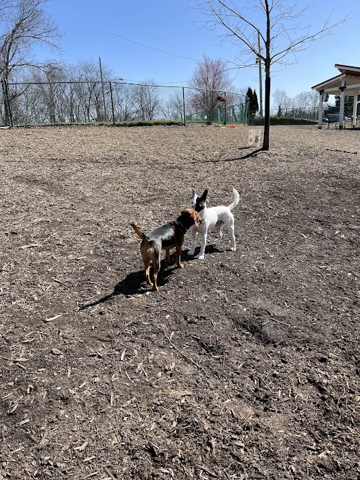 Fort Thomas Dog Park 1
