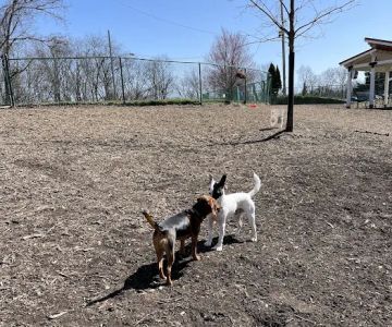 Fort Thomas Dog Park