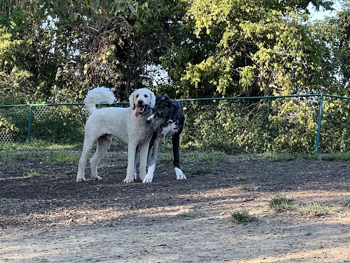 Fort Thomas Dog Park 2