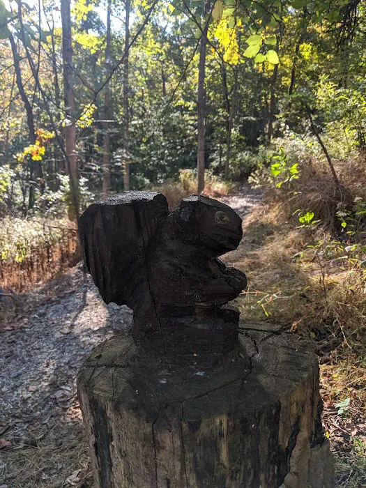 Fort Thomas Dog Park 6