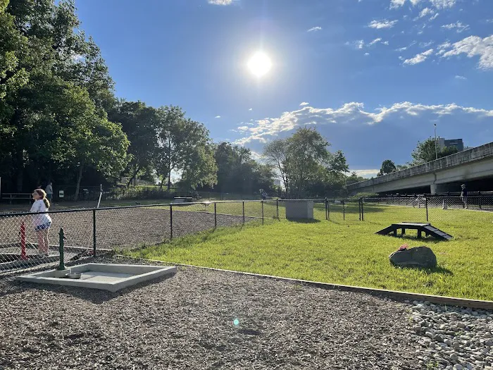 Newport Dog Park 6