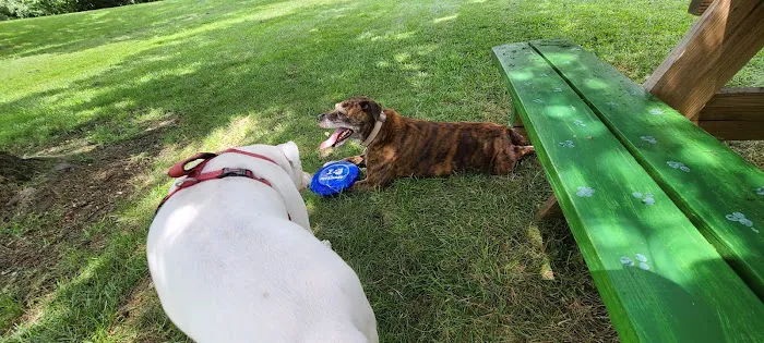 Newport Dog Park 7