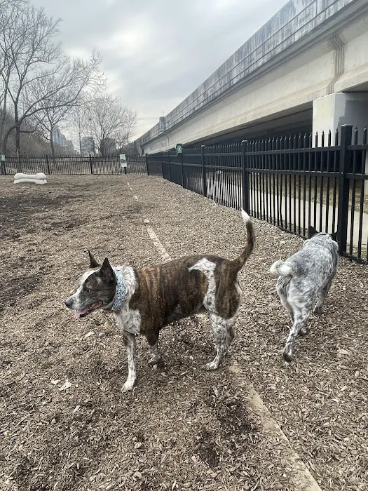 Newport Dog Park 5