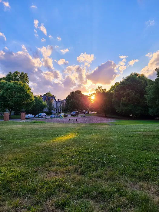 Newport Dog Park 8