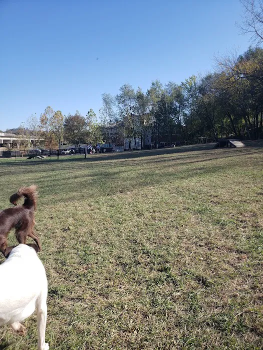 East Row Dog Park 4