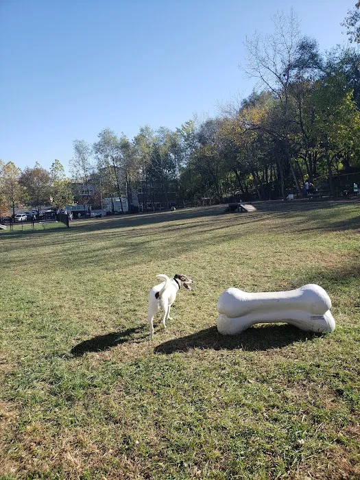 East Row Dog Park 8