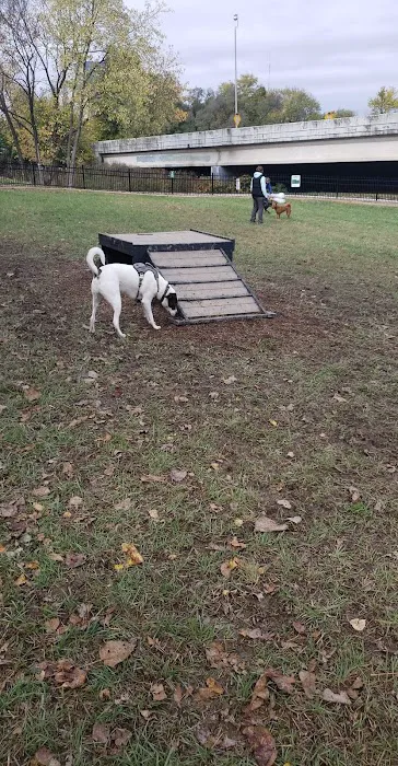 East Row Dog Park 7