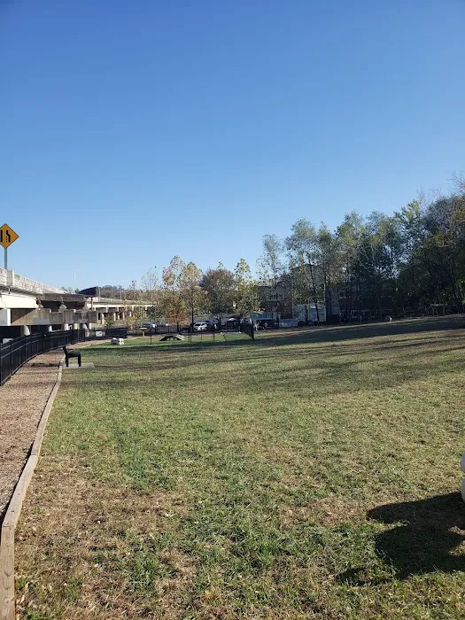 East Row Dog Park 5