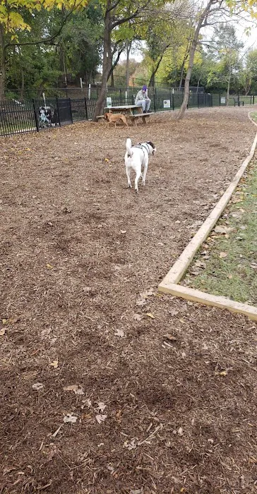 East Row Dog Park 2