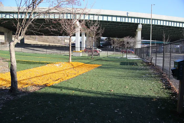 Fido Field 2