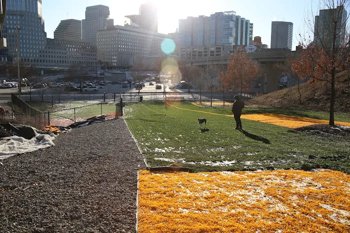Fido Field 4