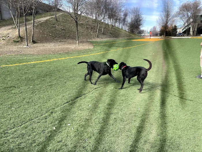 Fido Field 1