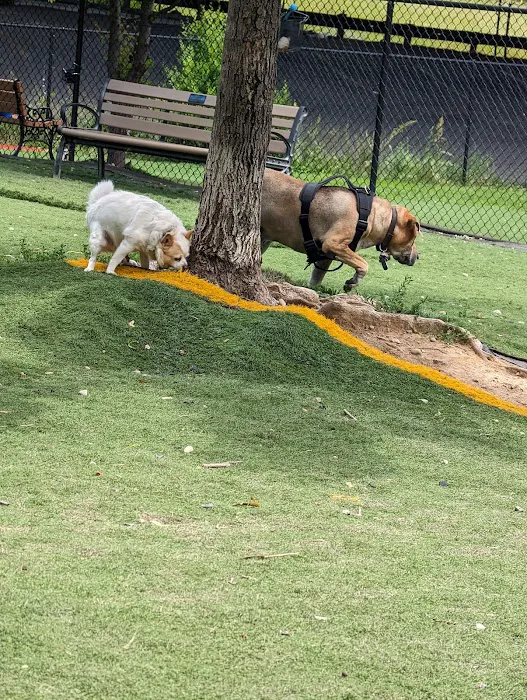 Fido Field 5