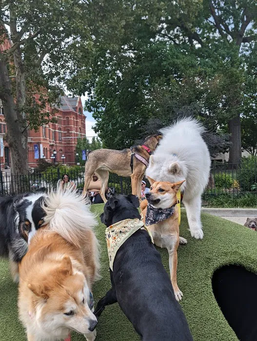 Dog Park at Washington Park 8