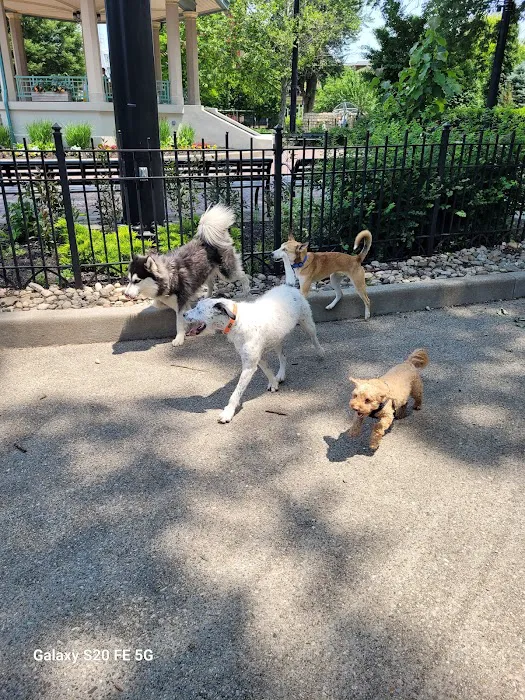 Dog Park at Washington Park 5