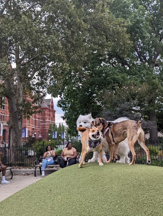 Dog Park at Washington Park 10