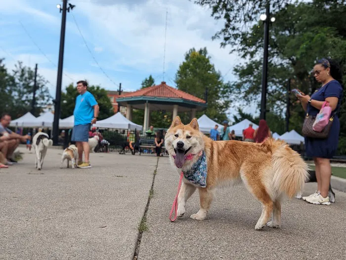 Dog Park at Washington Park 7