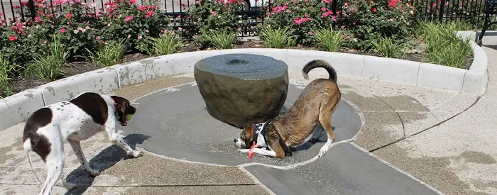 Dog Park at Washington Park 9