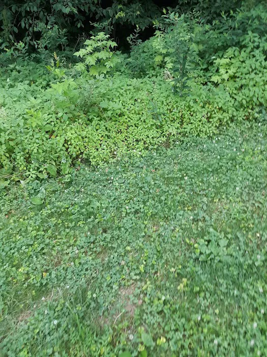 Spencer Shank Memorial Park Dog Park 3