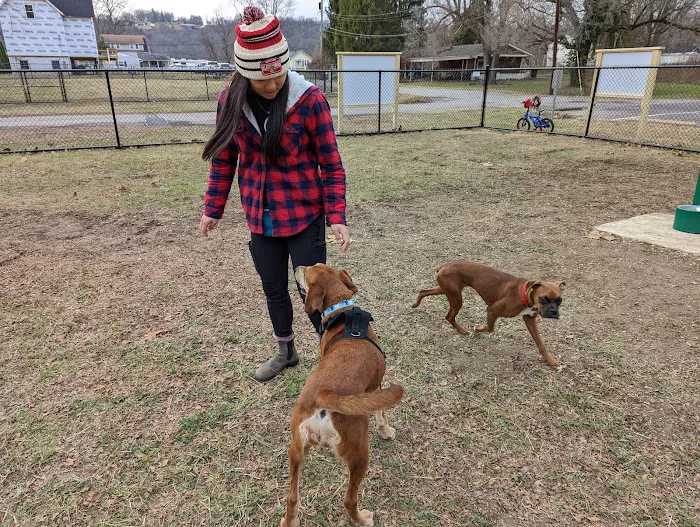 Elko Memorial Dog Park 5