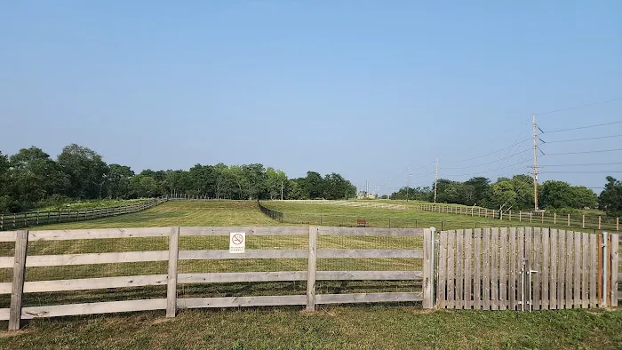 Friends of Lauren Hill Memorial Park 8