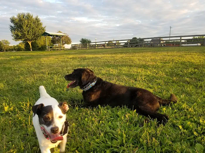 Boone County Dog Park 4