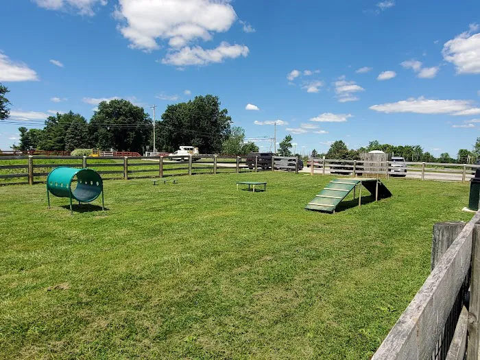 Boone County Dog Park 5