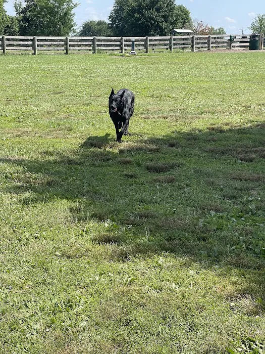 Boone County Dog Park 7