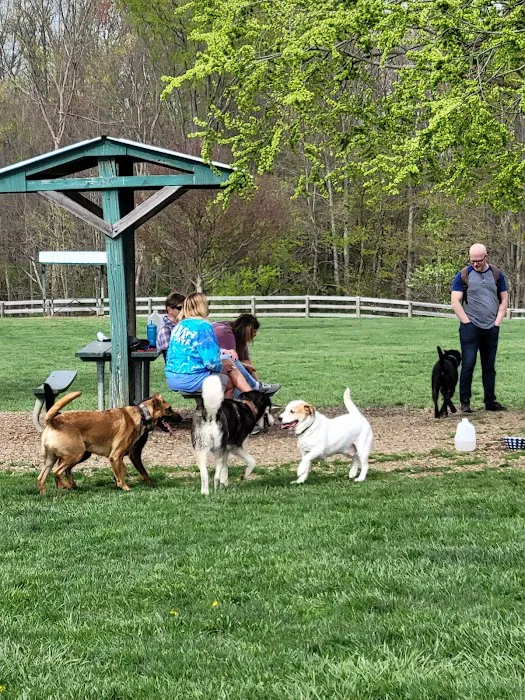 Boone County Dog Park 3