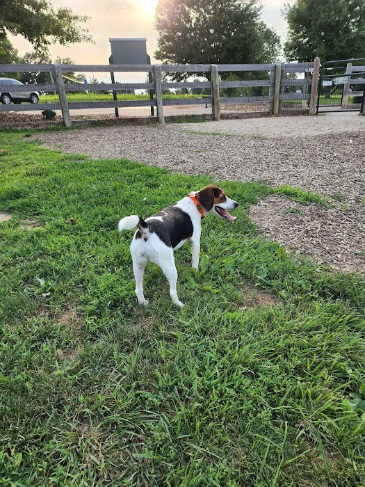 Boone County Dog Park 10
