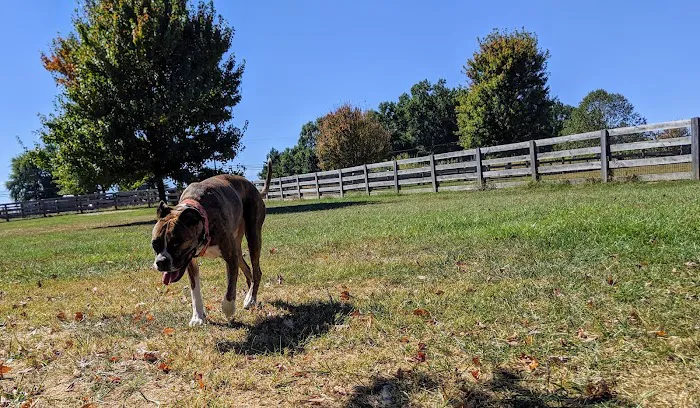Boone County Dog Park 2