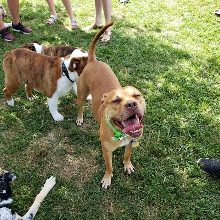 Boone County Dog Park 9