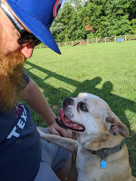 Aurora Dog Park 6