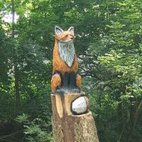Aurora Dog Park ico