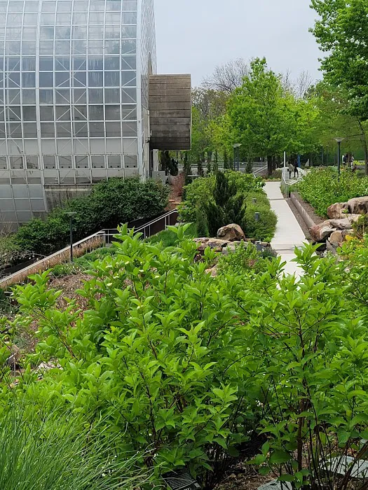 Myriad Gardens Community Dog Park 1