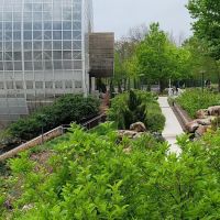 Myriad Gardens Community Dog Park ico