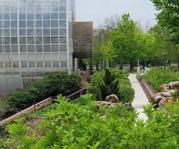 Myriad Gardens Community Dog Park