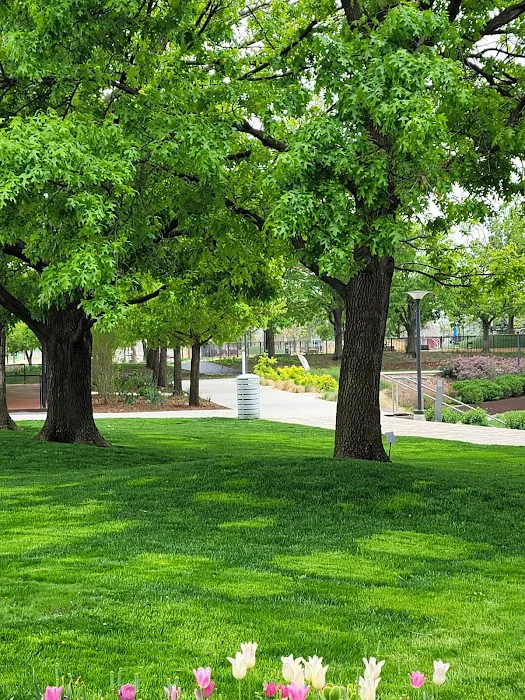 Myriad Gardens Community Dog Park 3