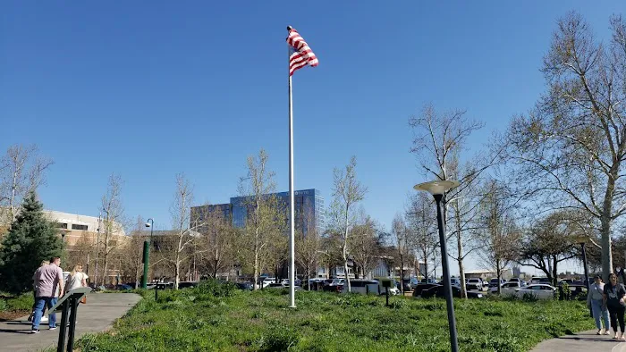 Myriad Gardens Community Dog Park 4