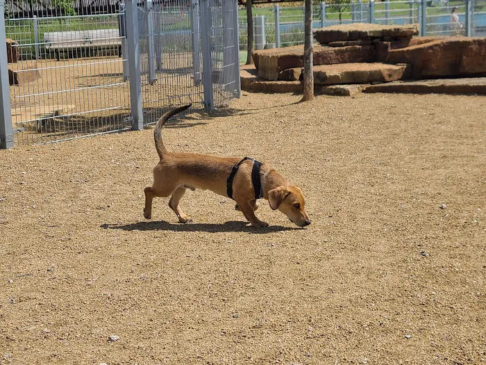 Scissortail Park Dog Park 10
