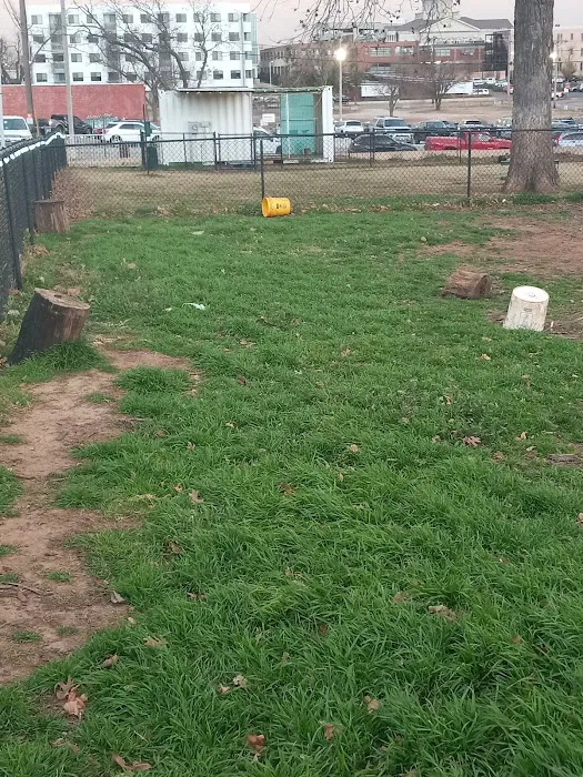 Midtown Mutts Dog Park 8