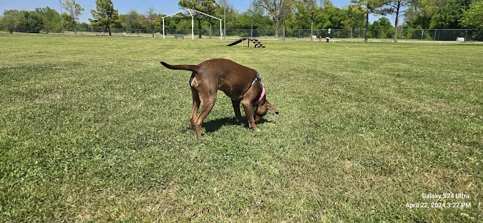 Wiggly Field 3