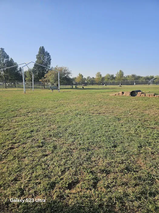 Wiggly Field 8