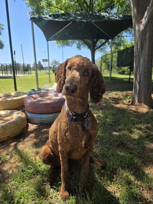 PAW OK Private Dog Park 1