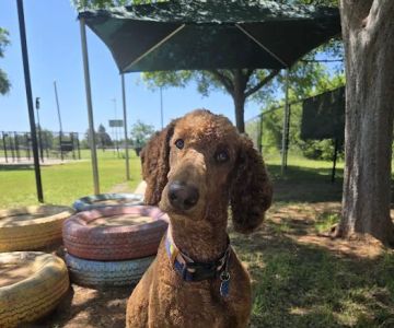 PAW OK Private Dog Park