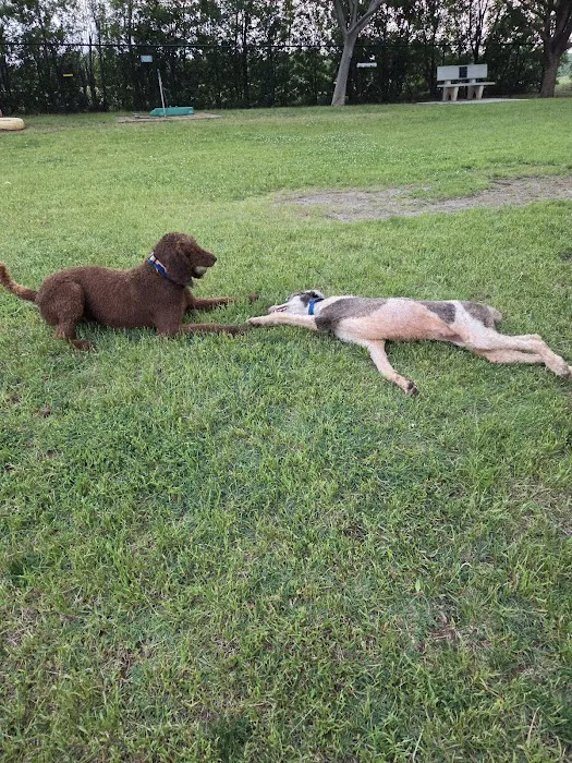 PAW OK Private Dog Park 3